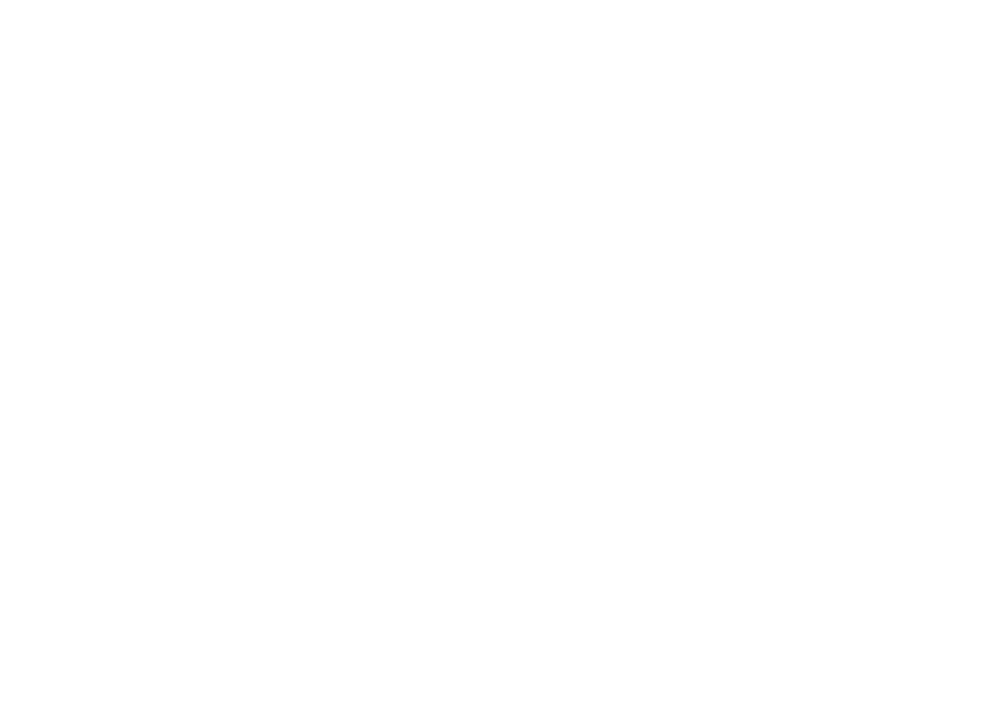 Black Canyon Systems