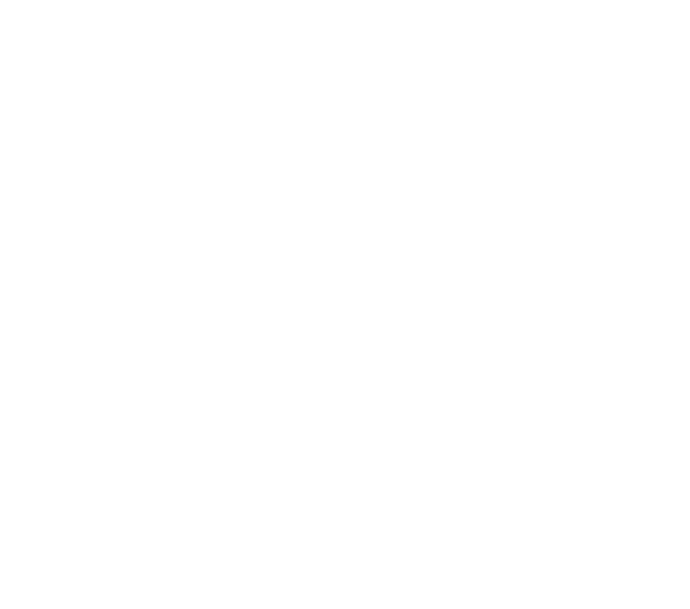 Black Triangle