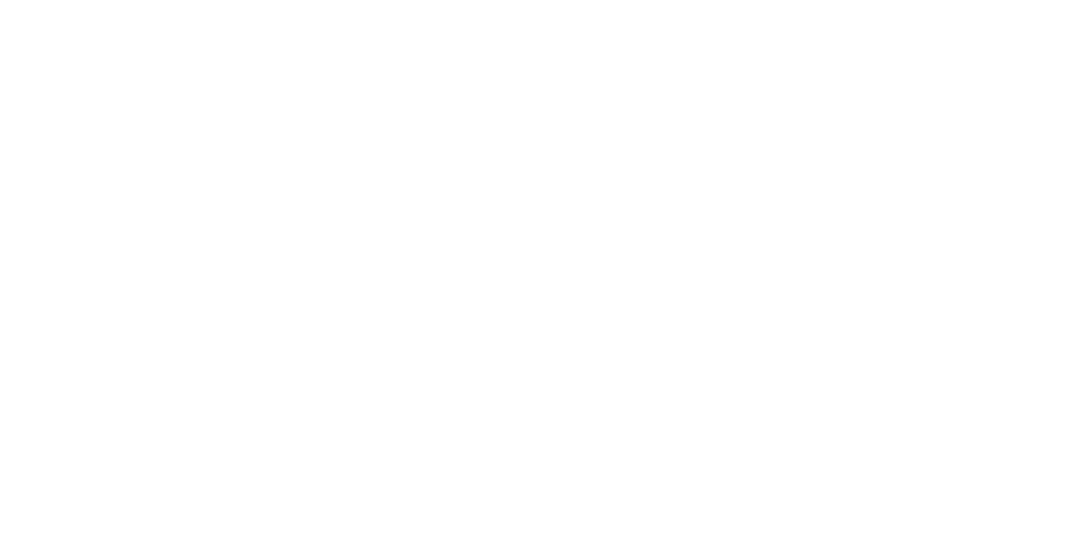 Palmetto State Armory