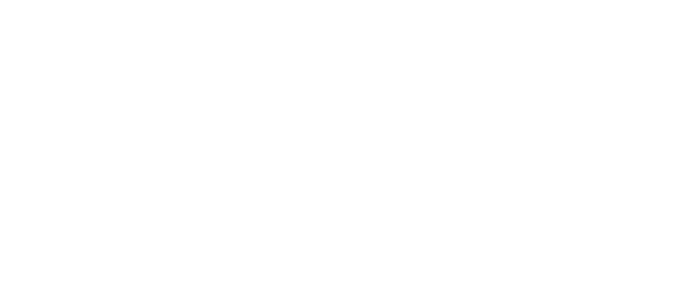 Second Amendment Foundation
