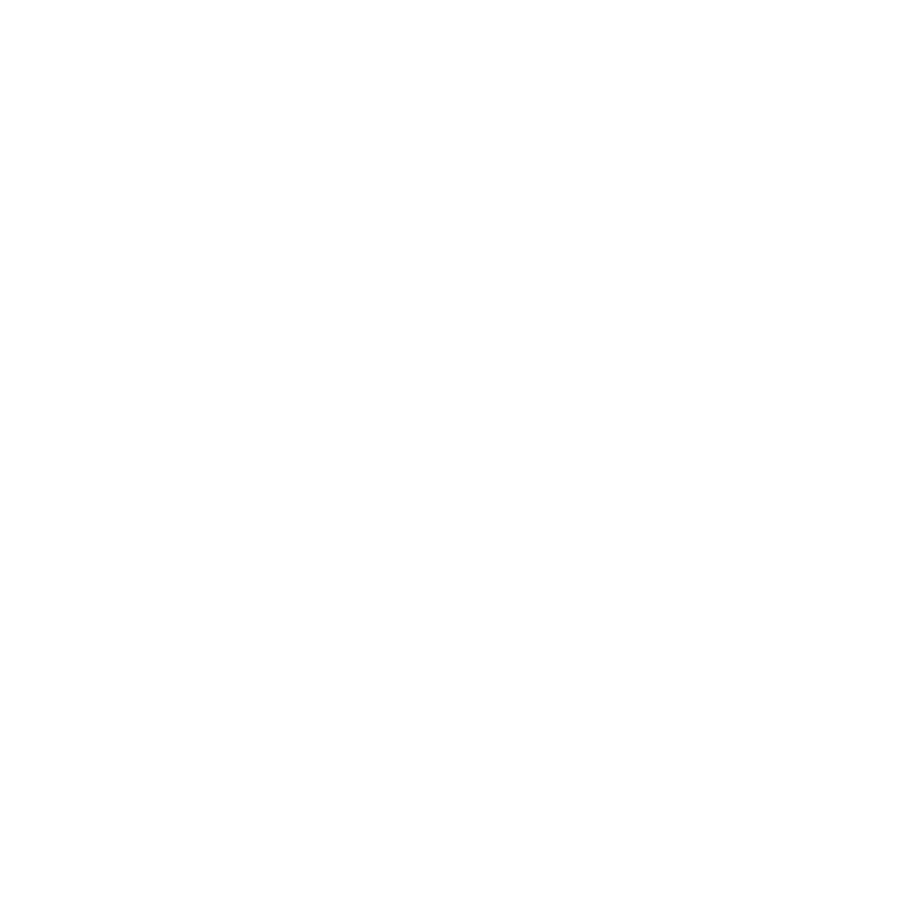 Silencer Co
