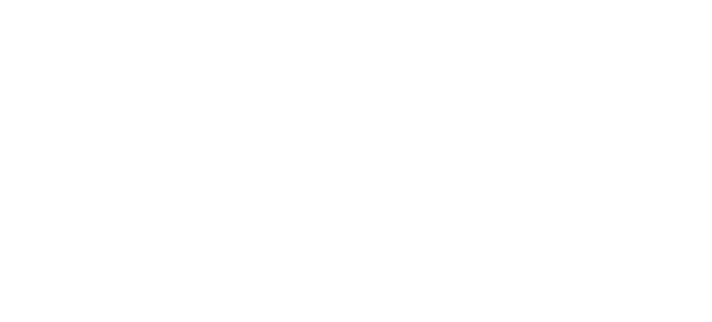 Triarc Systems
