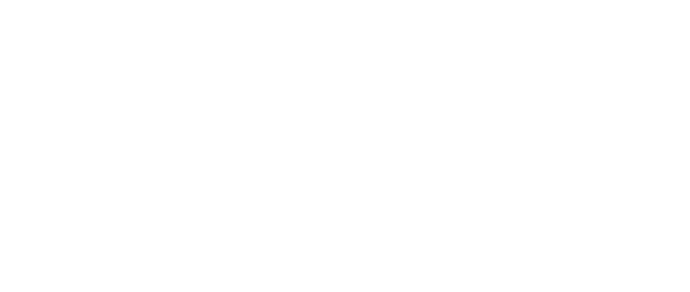 Wasteland Kooks