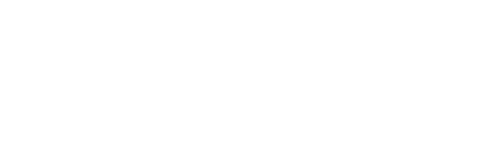 Zev Technologies